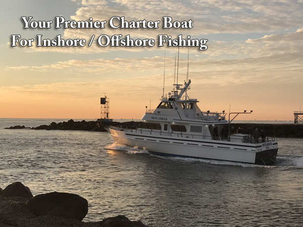 belmar_charter_Boat.png
