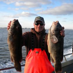 0b9cbc2184e5f1797df4728277c4c7eb