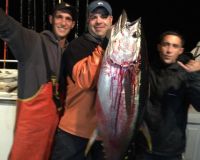 13f8de64de2557cddbab82f103634205