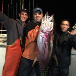 13f8de64de2557cddbab82f103634205