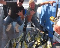 1a59ef86162ada1cd05aed4c1f092ddb