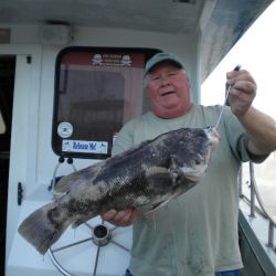 1c20f73ce4533ba9c4d12763f2130ba4