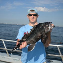 2ef89ce671ebd97b7214d8fa7aa6ad4e