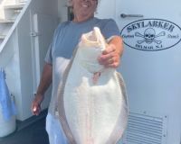 3aa71c7613152539b32c159308775b2a