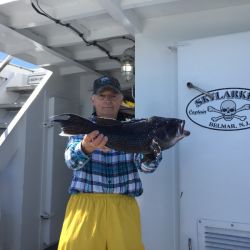 3ed3812a272beeba3b0043f7c8a78460