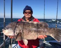 56903ef38945110132b240a507e66d00