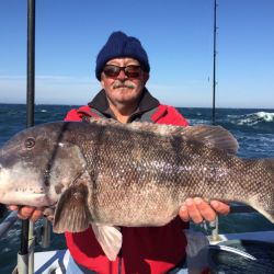 56903ef38945110132b240a507e66d00