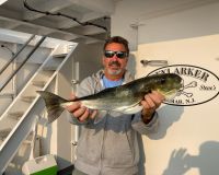 602900c7cc81ff28a21a738157444a1c