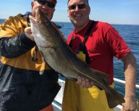 98da4c6a3bd2684b4a04b4d4c66faaf3