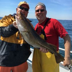 98da4c6a3bd2684b4a04b4d4c66faaf3