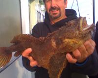 9aa402358d4961690060fdfc3cf90b09