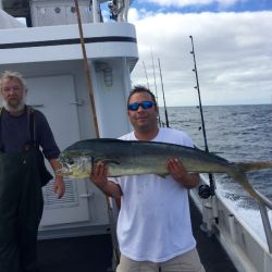 b611dae4cf2d7cbecd0f939789a2a2f3