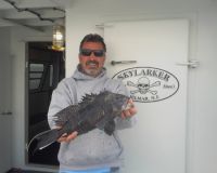 d8b35956a593ba9648b20e753578e688