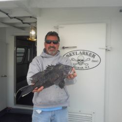 d8b35956a593ba9648b20e753578e688