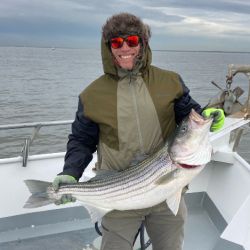 df0822a868881088b296d50c594ea521