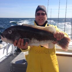 ebee75d14bda472f84a94dd7d9fa0985